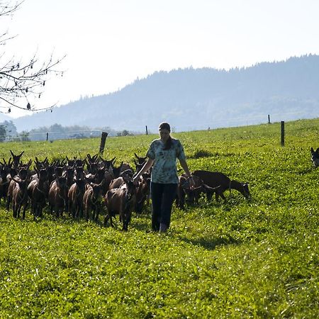 Agroturistika Kozi Farma Rožnov pod Radhoštěm Esterno foto