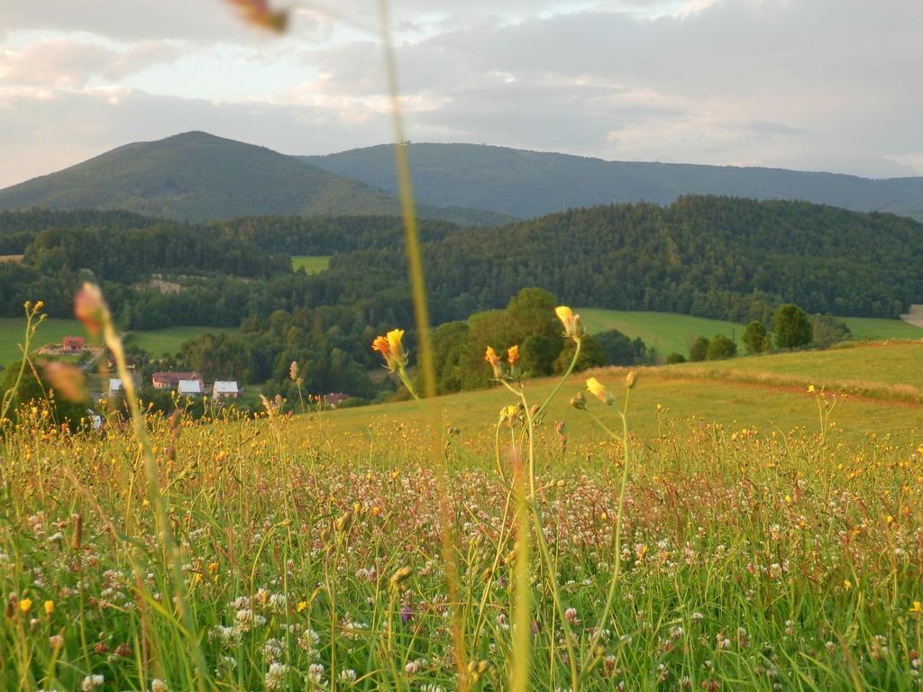 Agroturistika Kozi Farma Rožnov pod Radhoštěm Camera foto